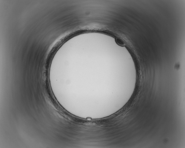 X0000116150392201001041058