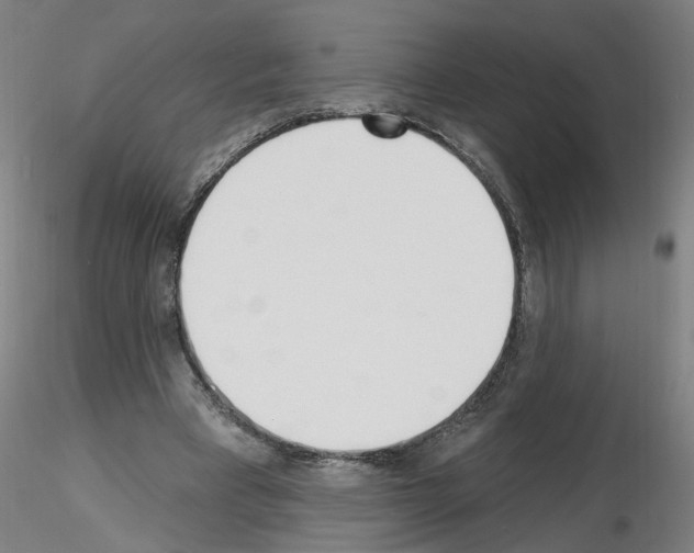 X0000116150393201001041058