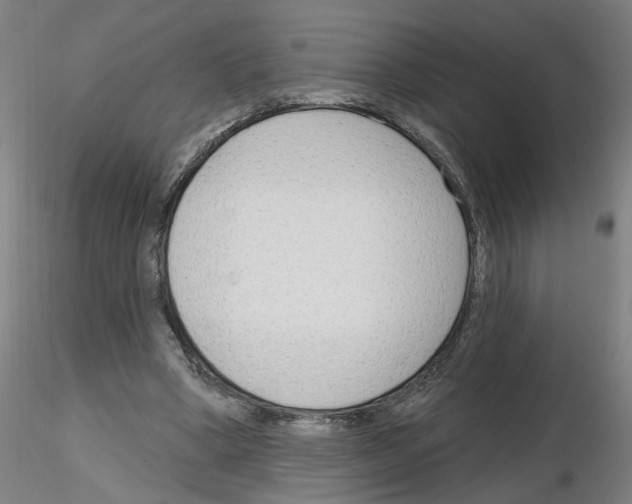 X0000116150394201001041058