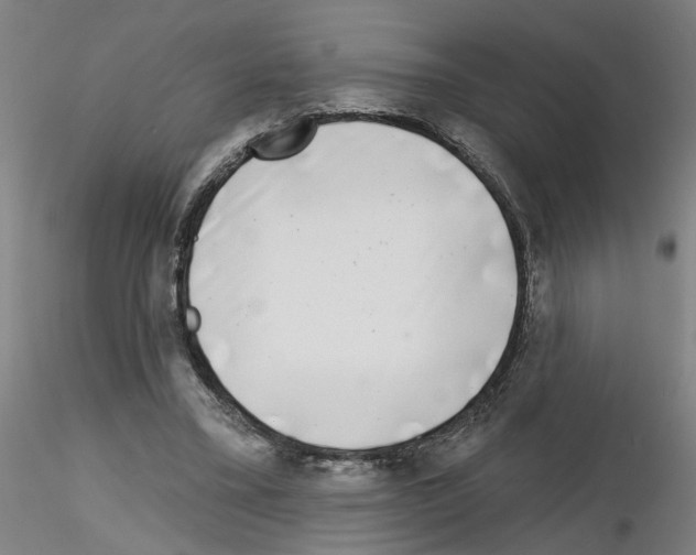 X0000116150395201001041058