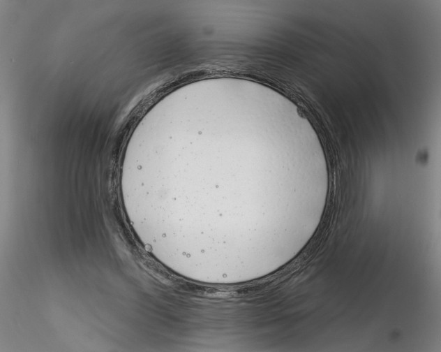 X0000116150396201001041058