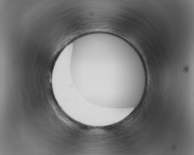 X0000116150397201001041058