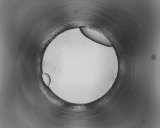 X0000116150398201001041057