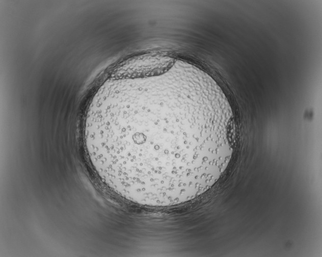 X0000116150400201001041057