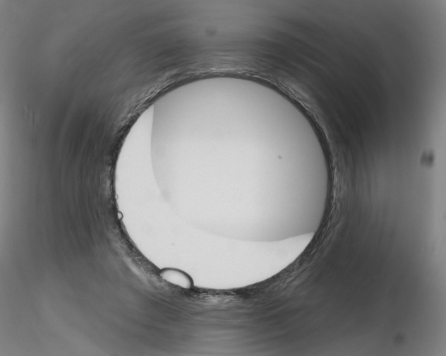 X0000116150401201001041057