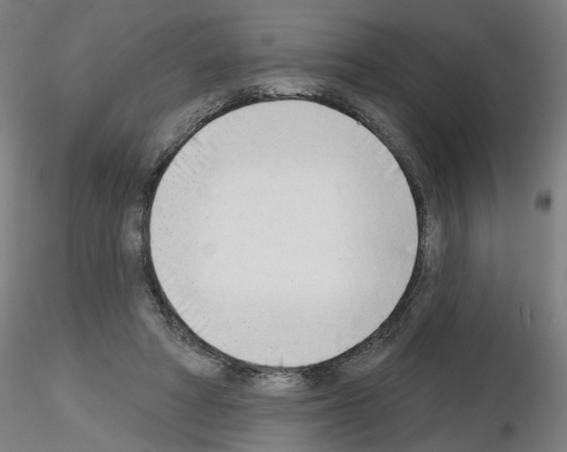 X0000116150402201001041057