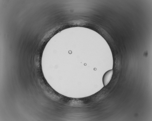 X0000116150403201001041057