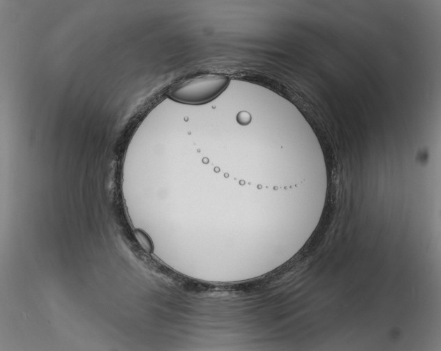 X0000116150404201001041057