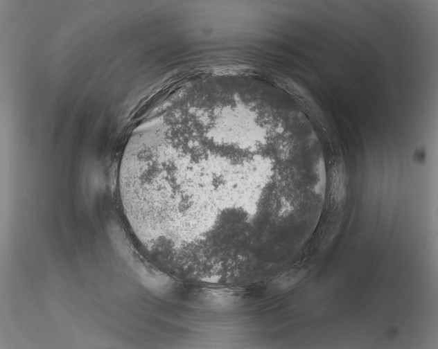 X0000116150405201001041057