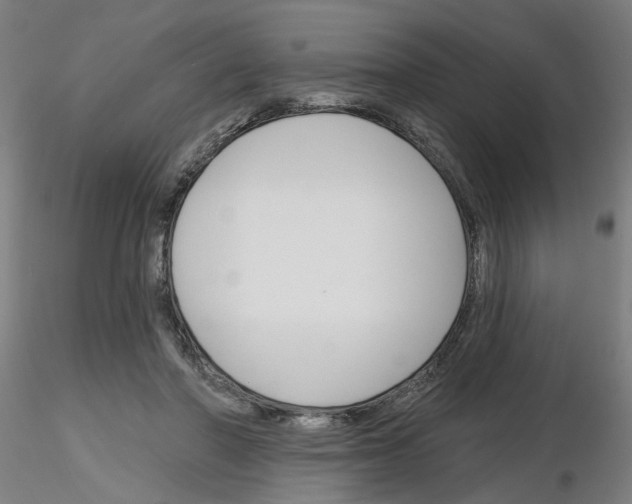 X0000116150406201001041057