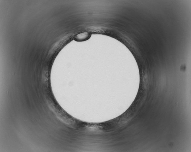 X0000116150407201001041057