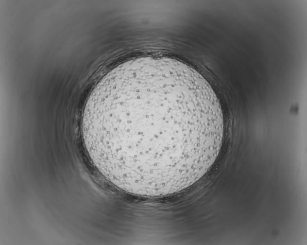 X0000116150408201001041057