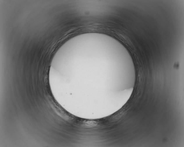 X0000116150409201001041057