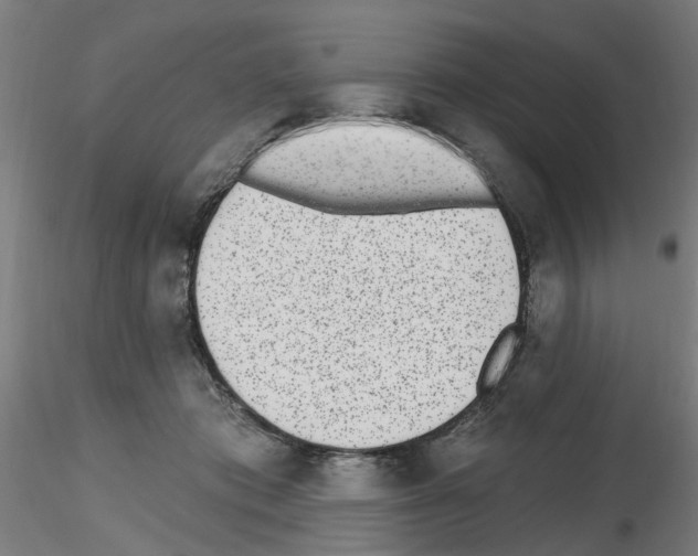 X0000116150413201001041057