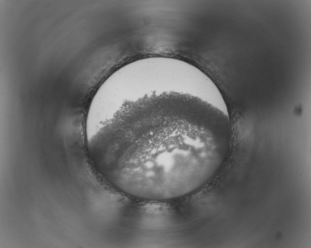 X0000116150415201001041057