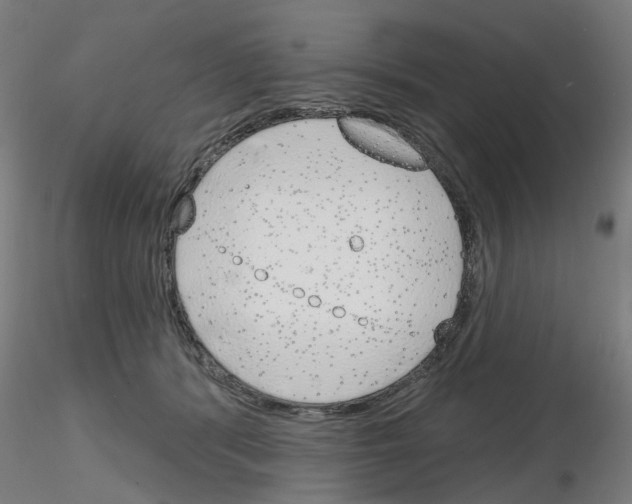 X0000116150416201001041057