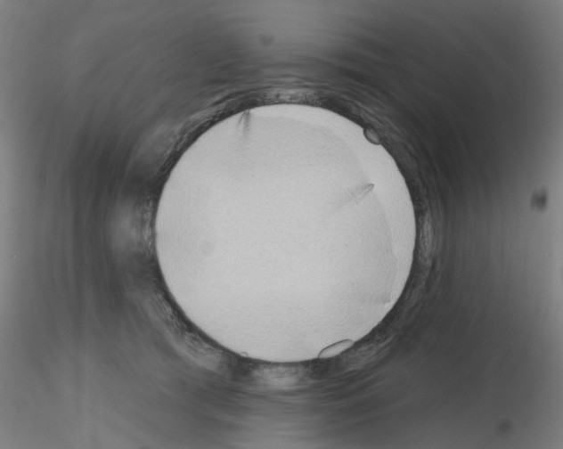 X0000116150417201001041057