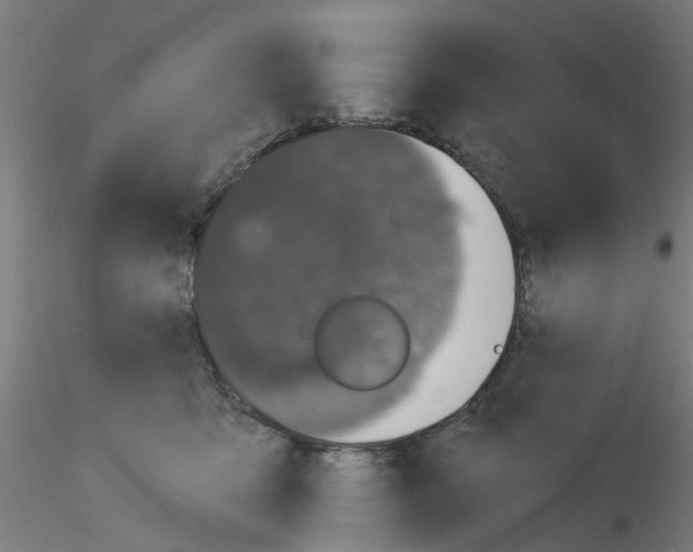 X0000116150419201001041057