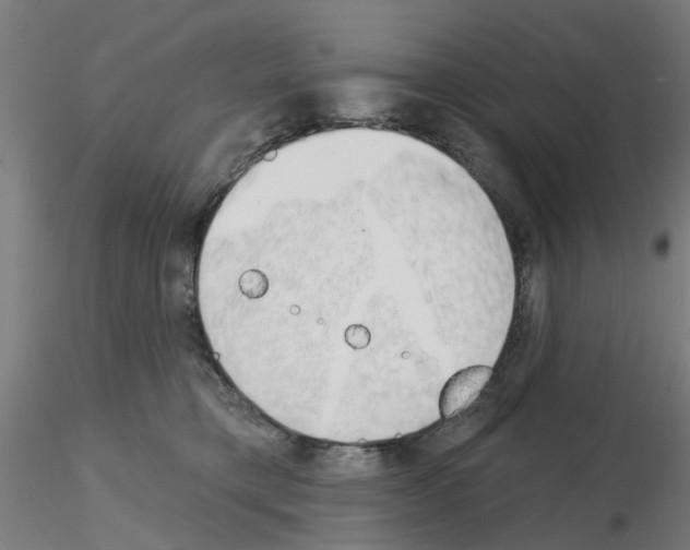 X0000116150421201001041057