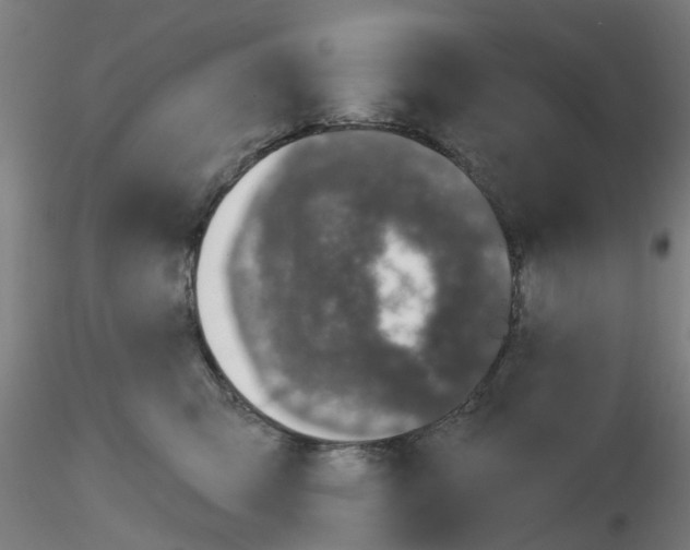 X0000116150423201001041057