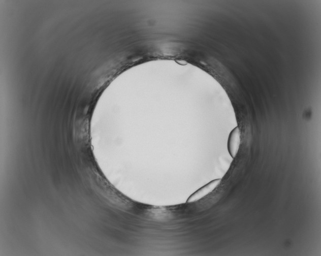 X0000116150425201001041057