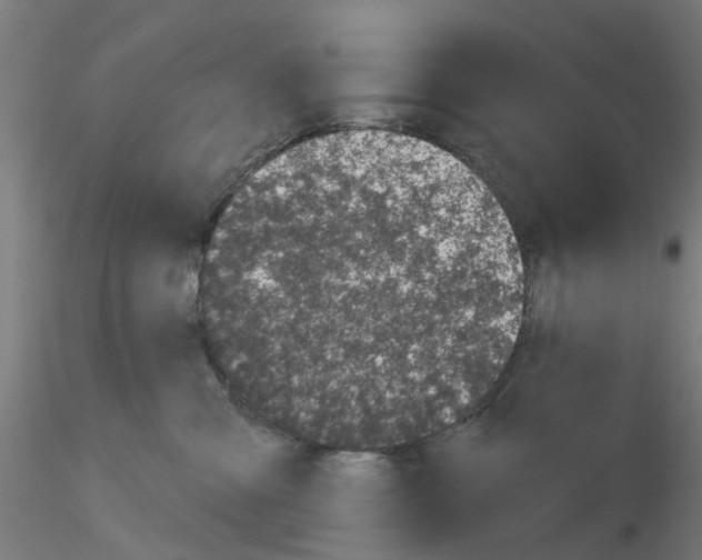 X0000116150427201001041057