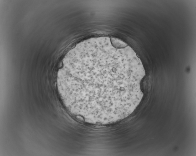 X0000116150428201001041057