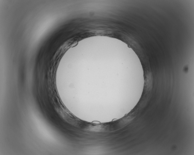 X0000116150430201001041057