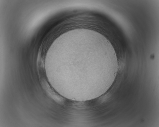 X0000116150431201001041057