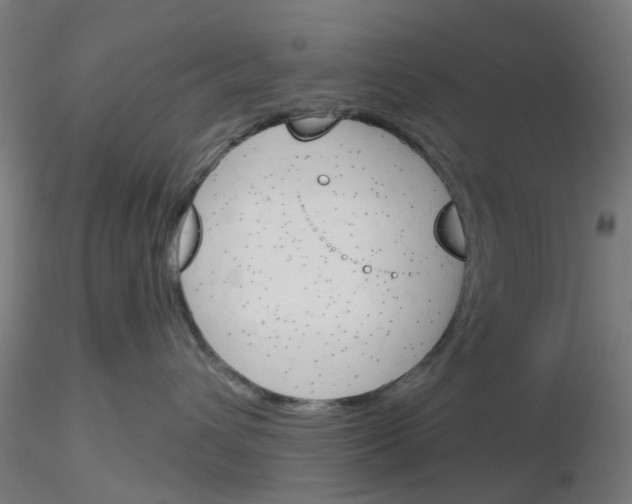 X0000116150432201001041057