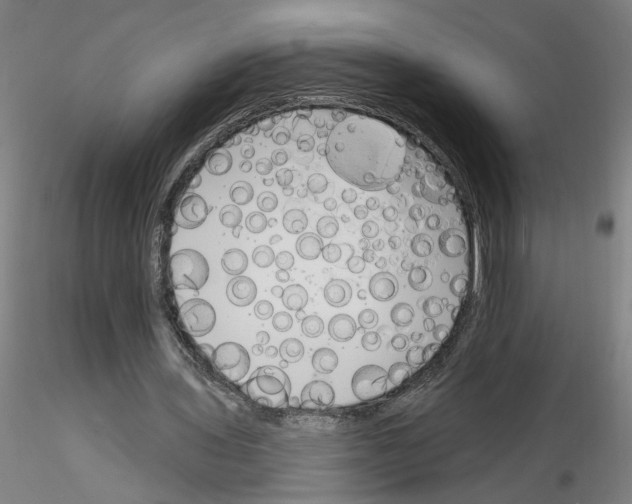 X0000116150435201001041056