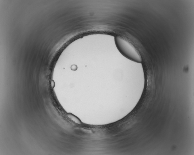 X0000116150436201001041056