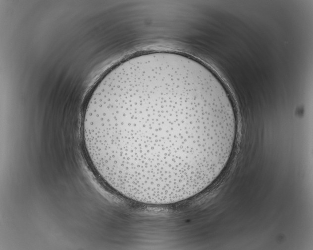 X0000116150437201001041056