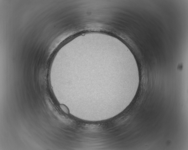 X0000116150440201001041056