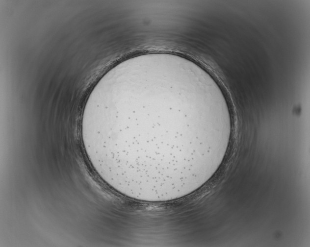 X0000116150441201001041056