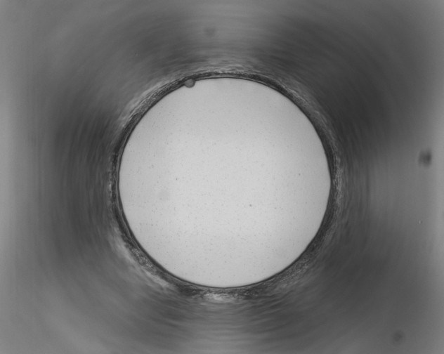 X0000116150442201001041056