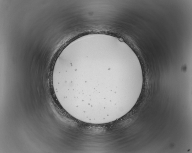 X0000116150443201001041057