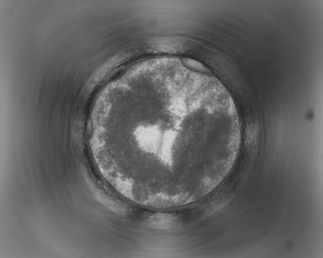 X0000116150444201001041057