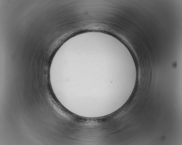 X0000116150445201001041057