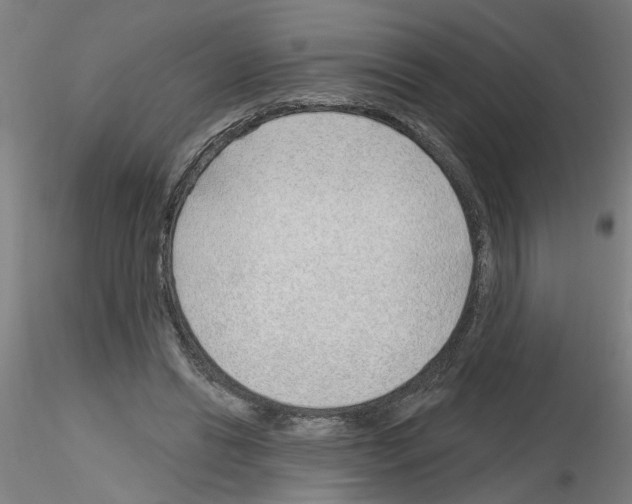 X0000116150446201001041057