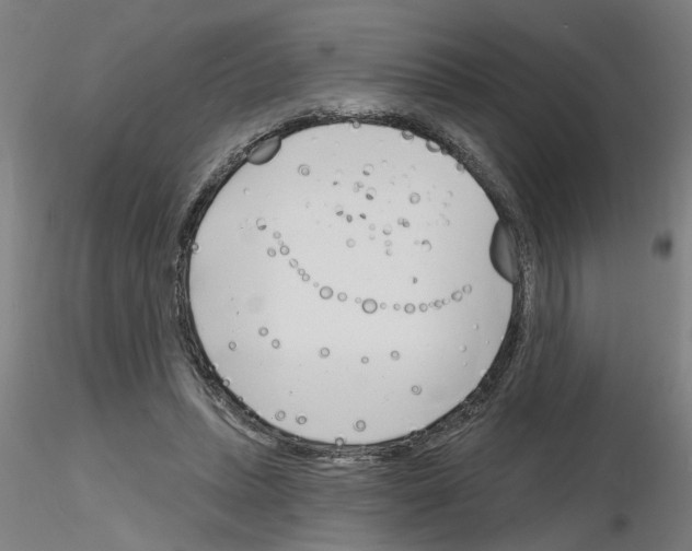 X0000116150447201001041057