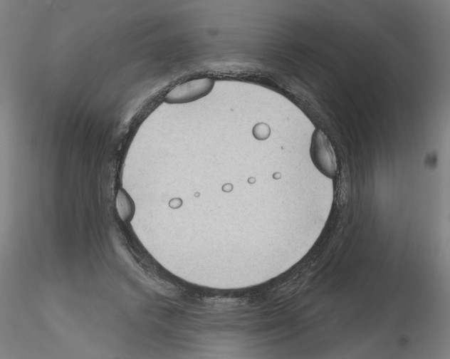 X0000116150448201001041057