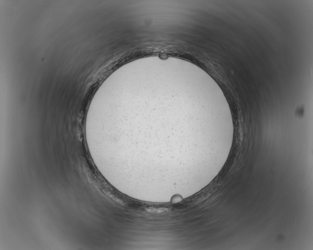 X0000116150450201001041057