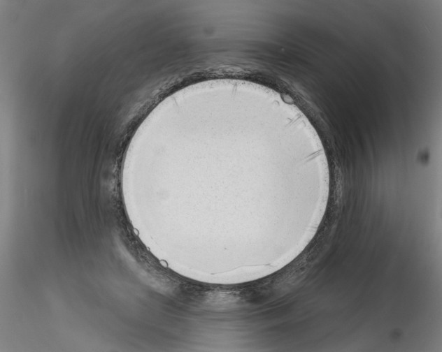 X0000116150451201001041057