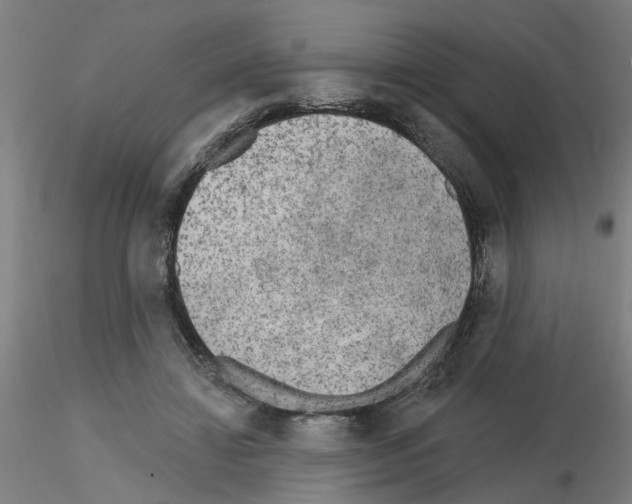 X0000116150452201001041057