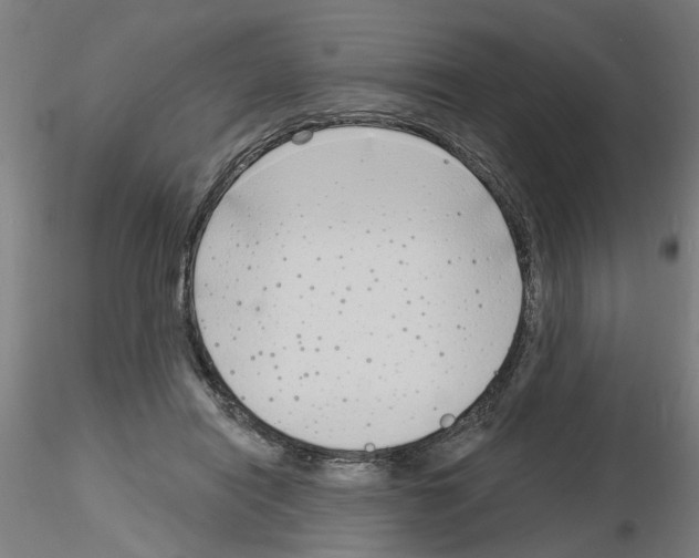 X0000116150454201001041057