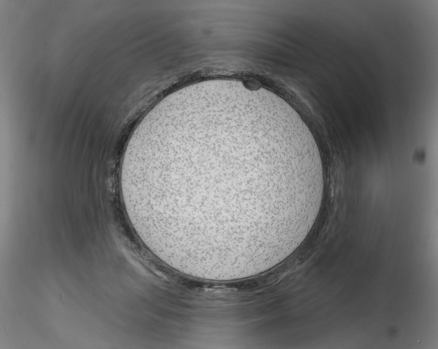 X0000116150455201001041057