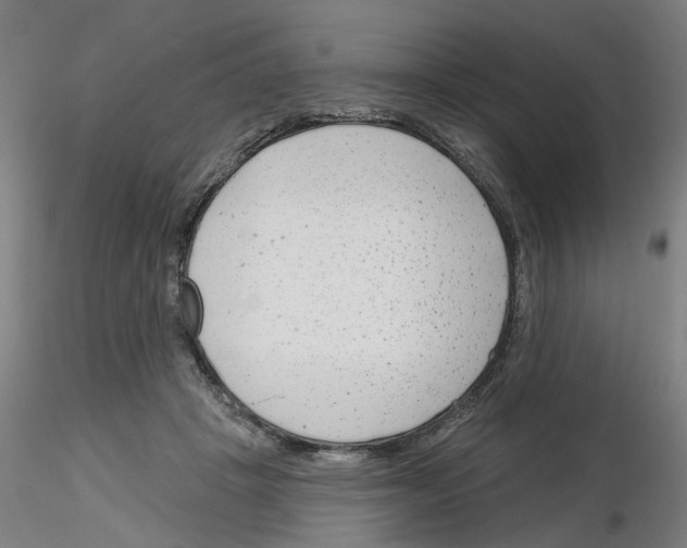 X0000116150457201001041057