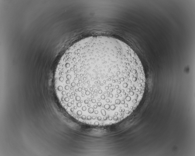 X0000116150458201001041057