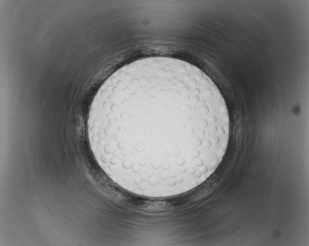 X0000116150459201001041057